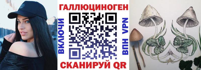 Галлюциногенные грибы мицелий  купить наркотики цена  Чегем 
